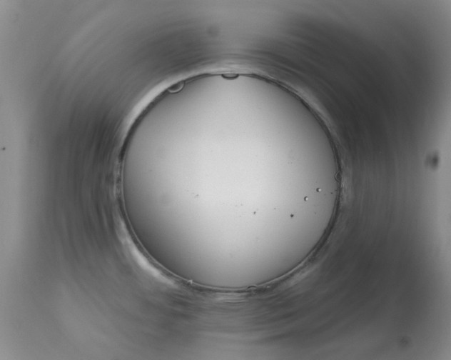 X0000113161484200909251340