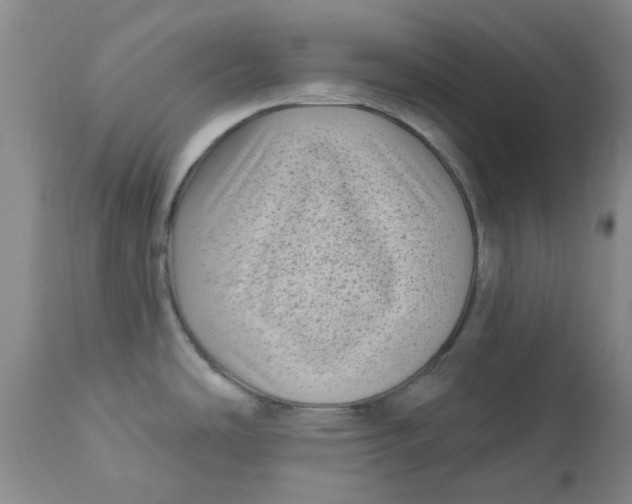 X0000113161486200909251340