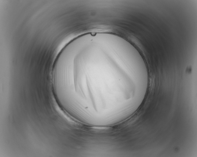 X0000113161487200909251340