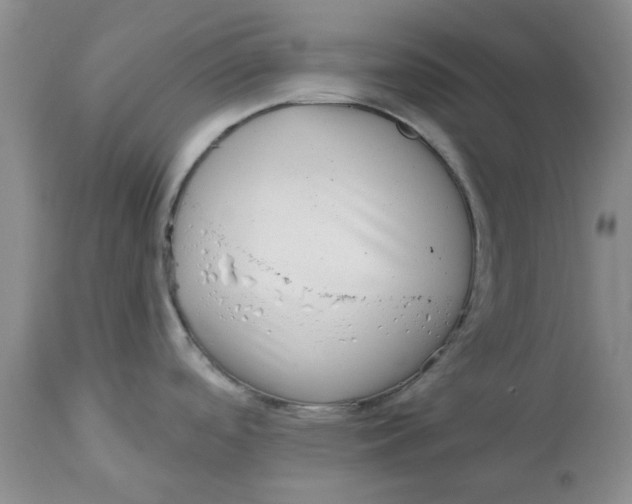 X0000113161488200909251340