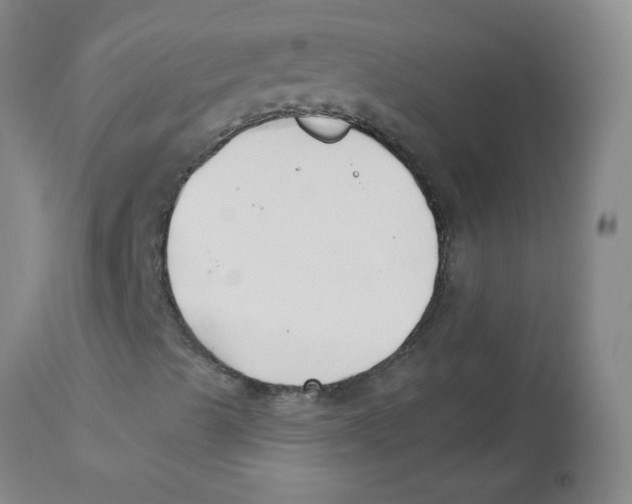 X0000113161489200909251339