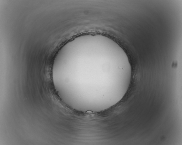 X0000113161490200909251339