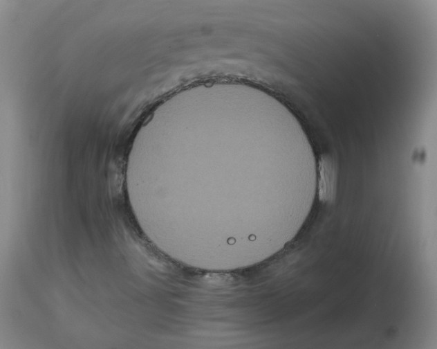 X0000113161491200909251339