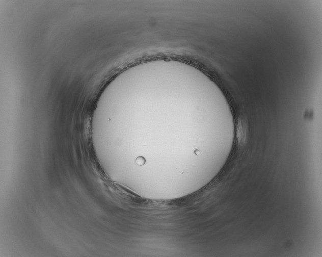 X0000113161492200909251339