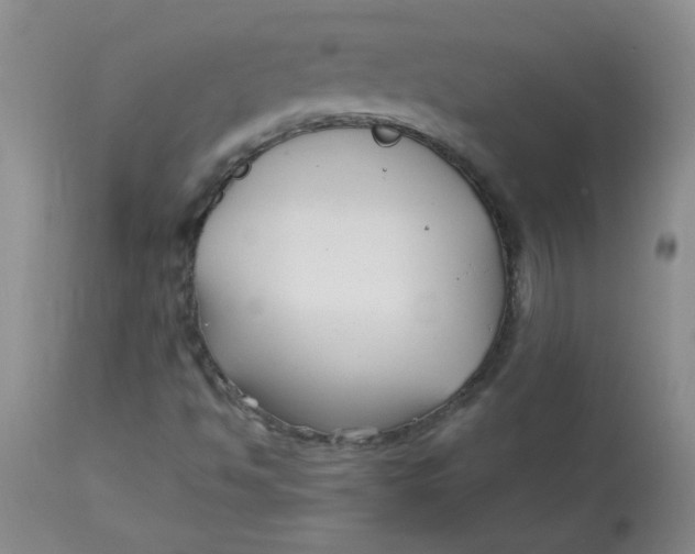 X0000113161494200909251339