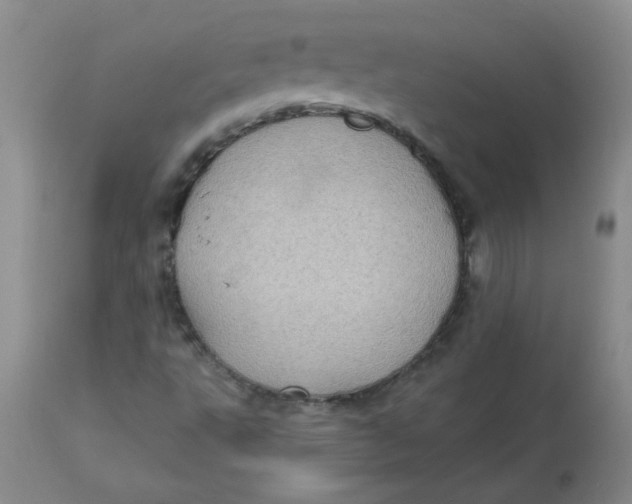 X0000113161495200909251339