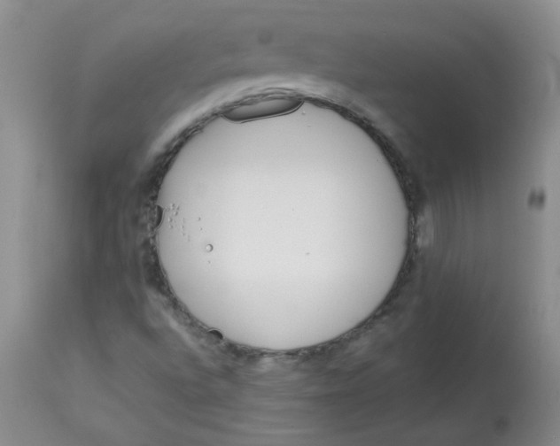 X0000113161496200909251339