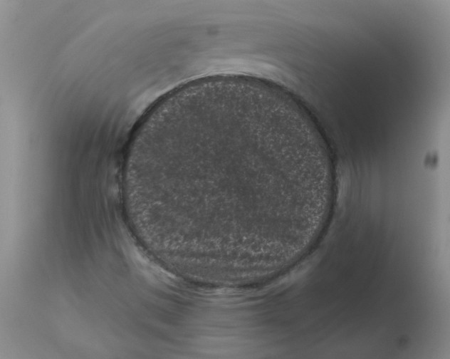 X0000113161497200909251339