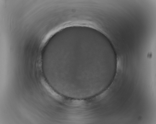 X0000113161498200909251339