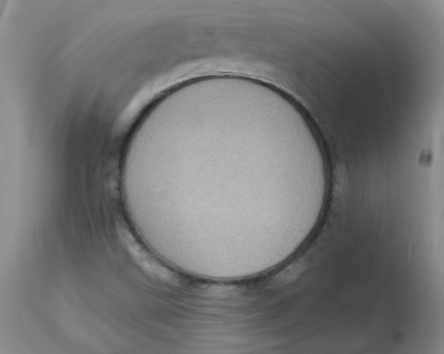 X0000113161499200909251339