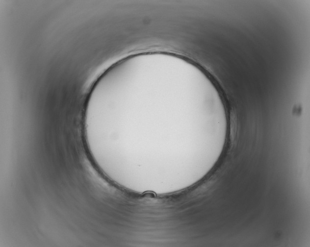 X0000113161500200909251339