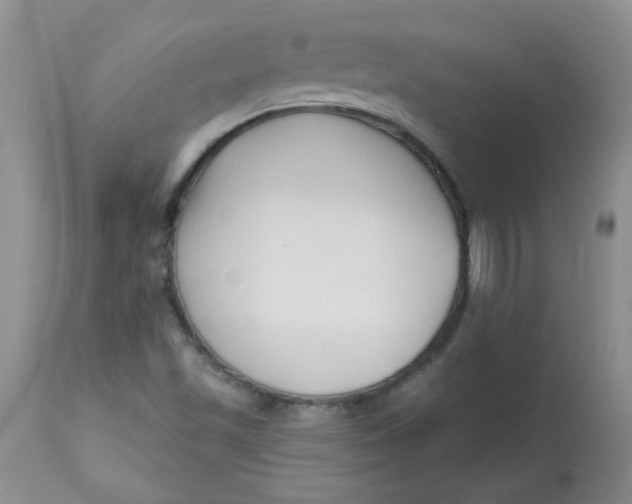 X0000113161501200909251339