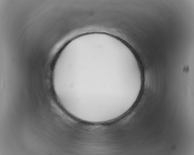 X0000113161502200909251339