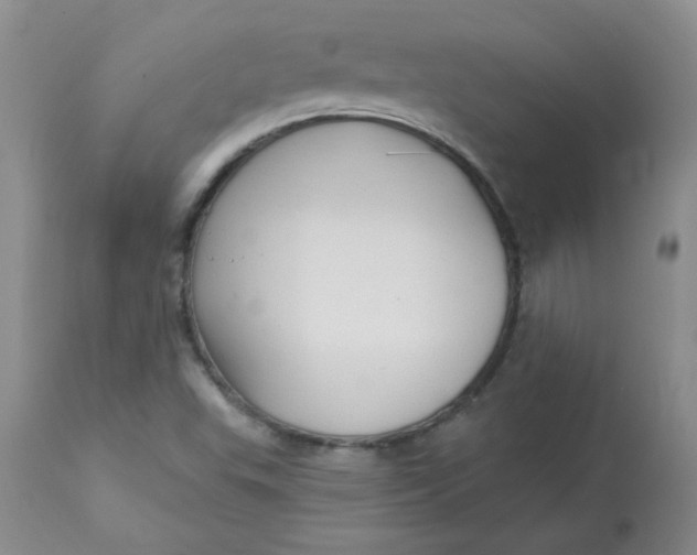 X0000113161503200909251339