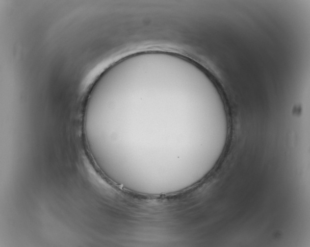 X0000113161504200909251339