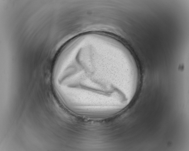 X0000113161505200909251339