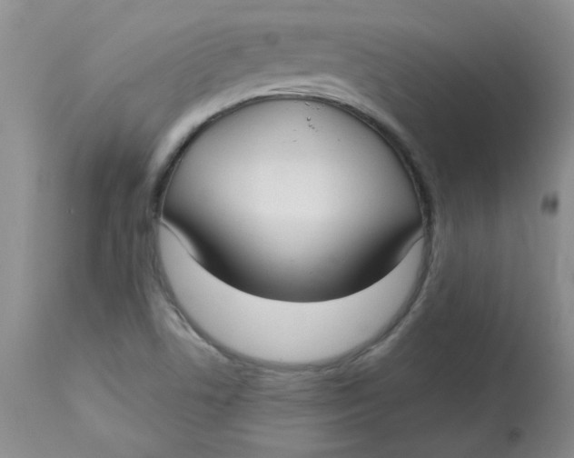 X0000113161506200909251339