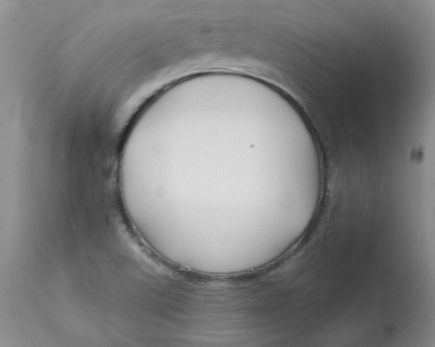 X0000113161507200909251339