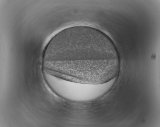 X0000113161508200909251339