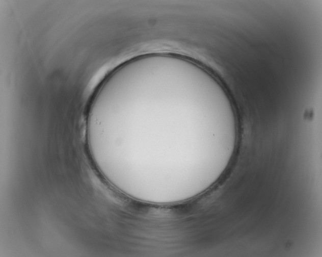 X0000113161509200909251339