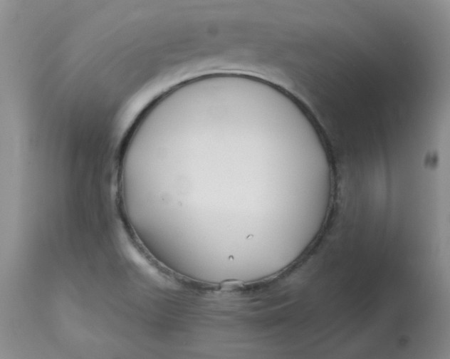 X0000113161511200909251339