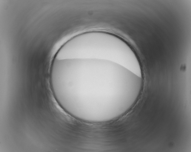 X0000113161512200909251339