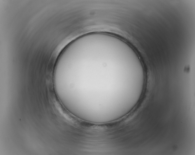 X0000113161513200909251339