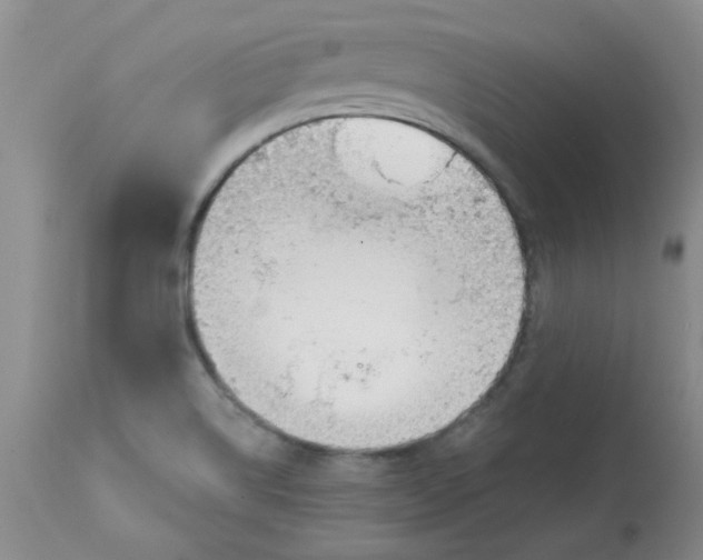 X0000113161514200909251339