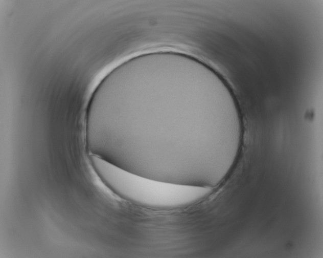 X0000113161516200909251339