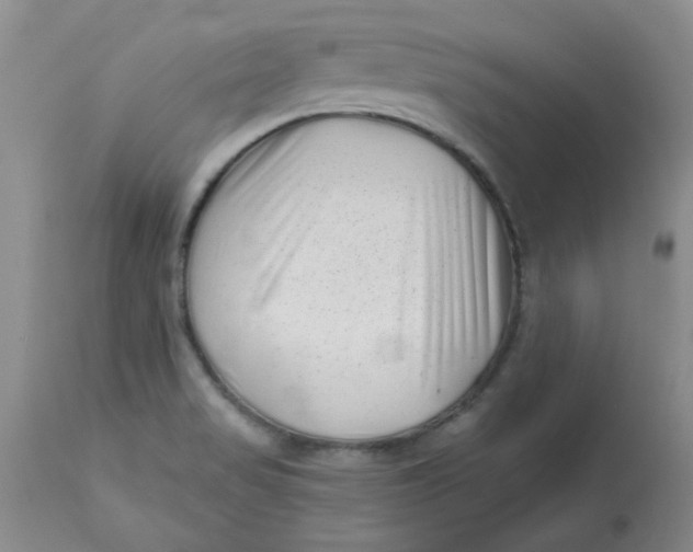 X0000113161517200909251339