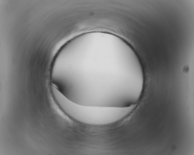 X0000113161518200909251339