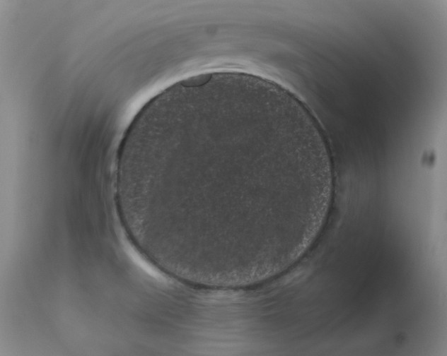 X0000113161519200909251339