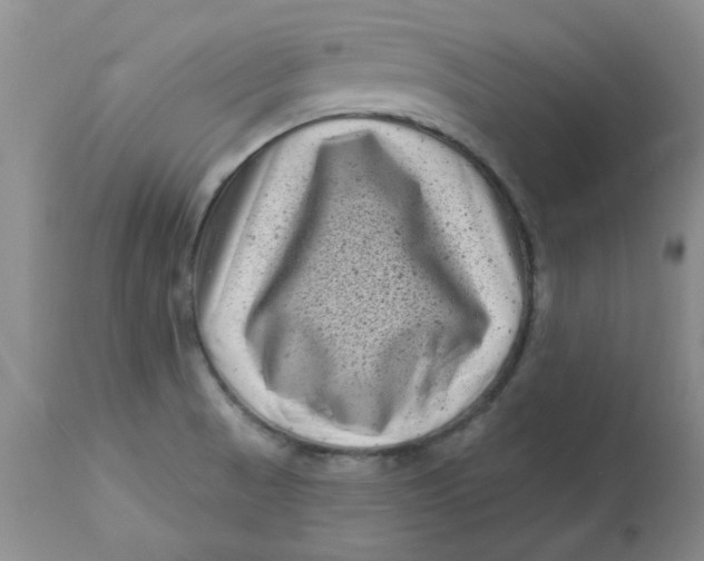 X0000113161521200909251339