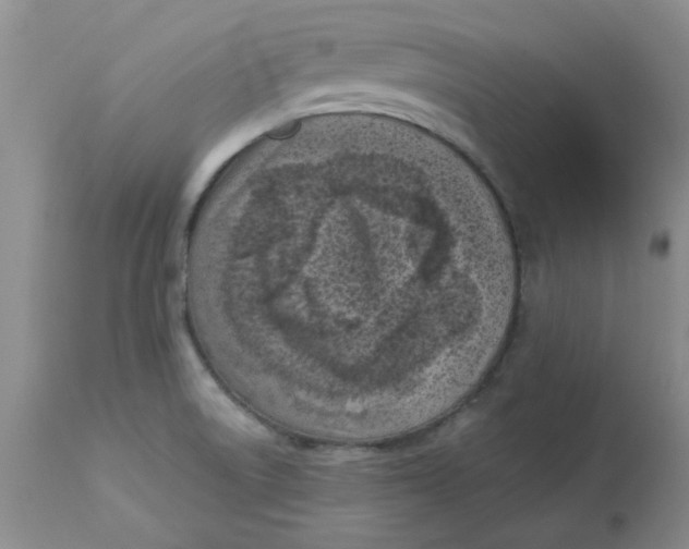 X0000113161522200909251339