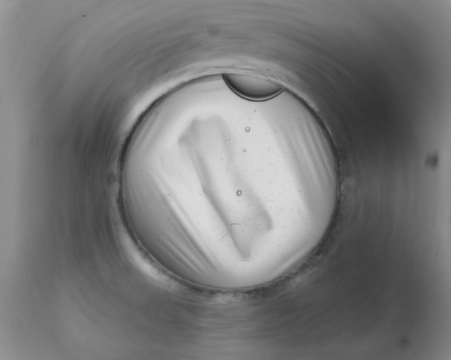 X0000113161523200909251339