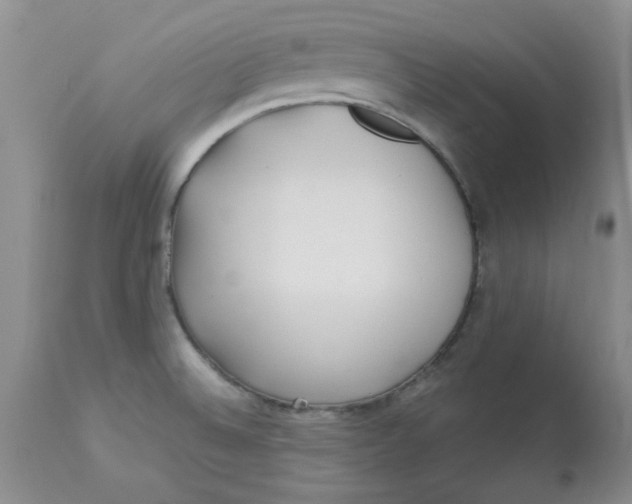 X0000113161524200909251339