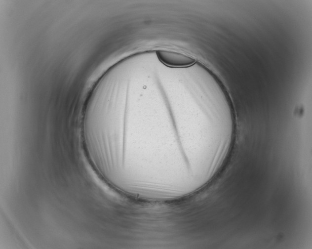 X0000113161525200909251339