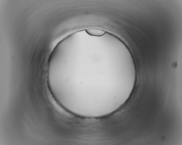 X0000113161526200909251339