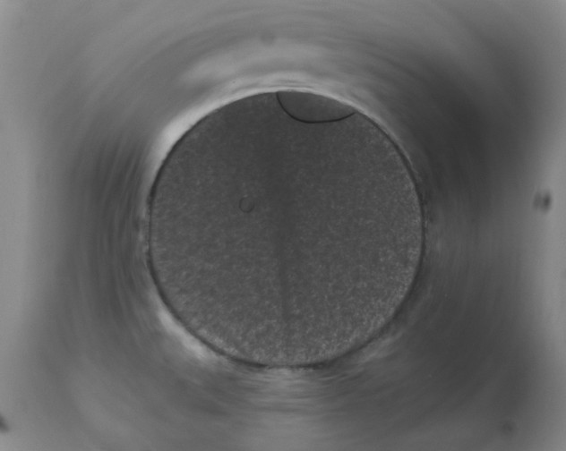 X0000113161527200909251339