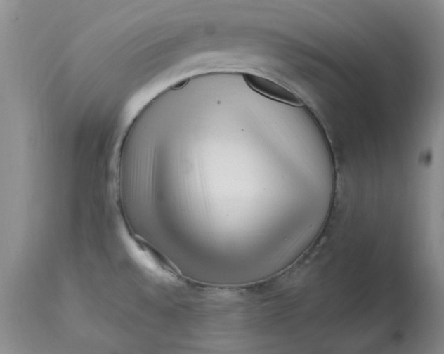 X0000113161528200909251340