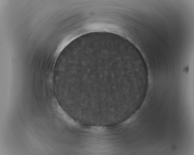 X0000113161529200909251340