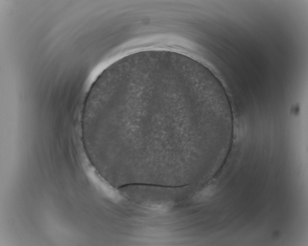 X0000113161530200909251340