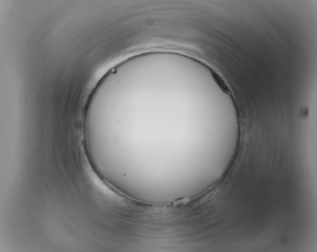 X0000113161531200909251340