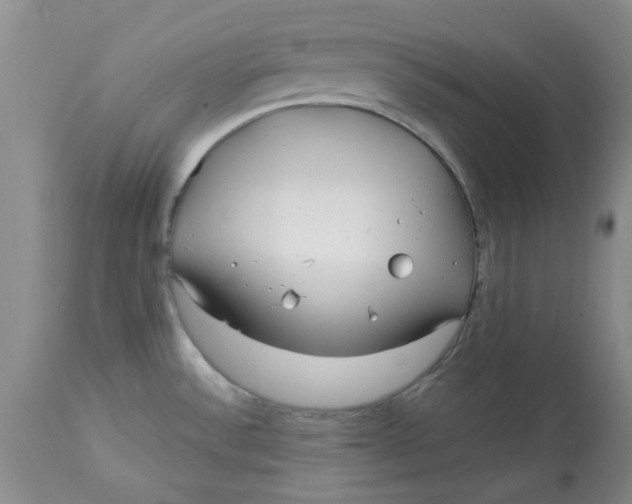 X0000113161532200909251340