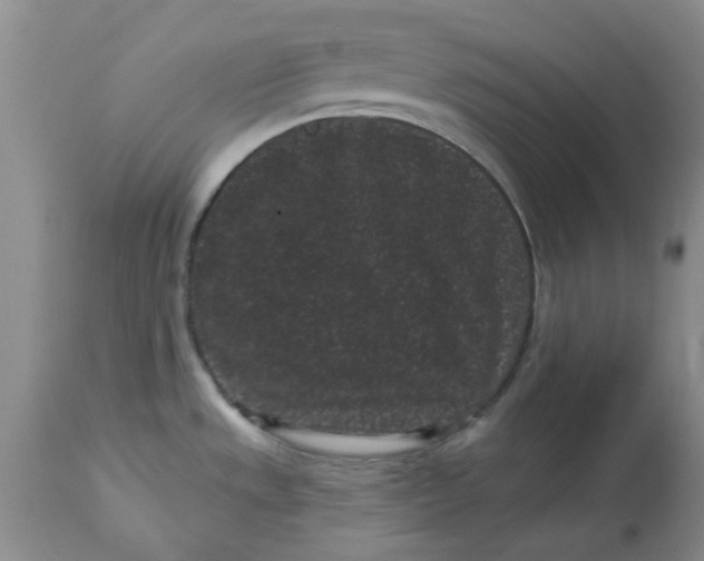 X0000113161533200909251340