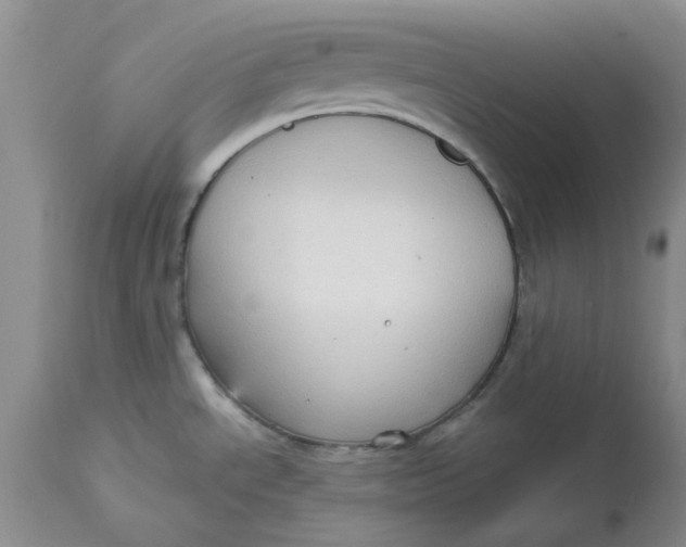 X0000113161534200909251340