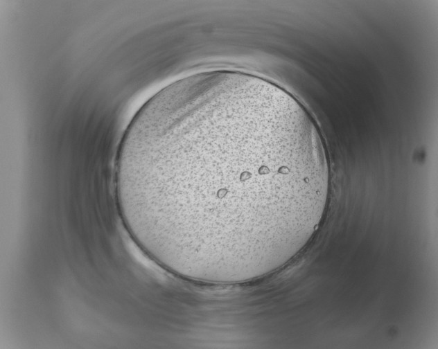 X0000113161535200909251340