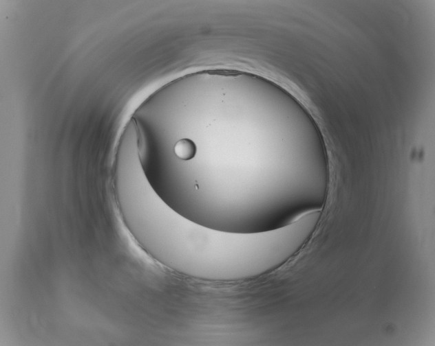 X0000113161536200909251340