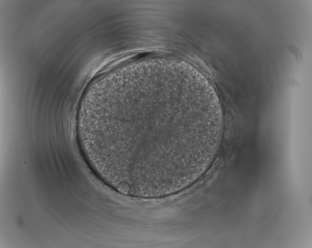 X0000113160002200910021511