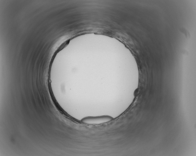 X0000113160003200910021511